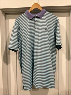 The Southern Shirt Company Lavender and Mint Striped Polo